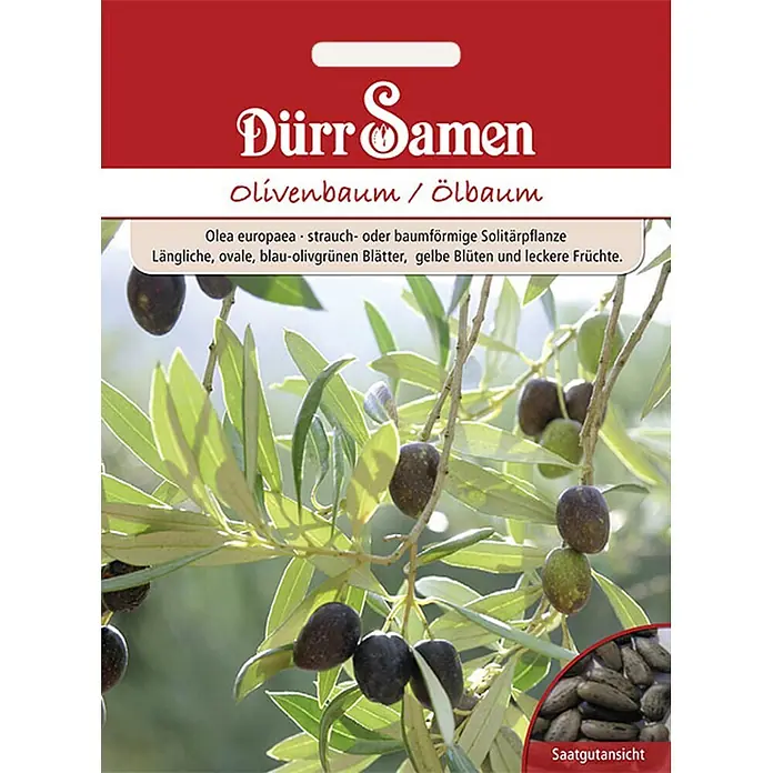 Dürr Samen Saatgut Olivenbaum - Olea europaea, 7 g - Rot-weiße Samenpackung für einen Olivenbaum mit Olivenzweig, Früchten und Samenansicht.