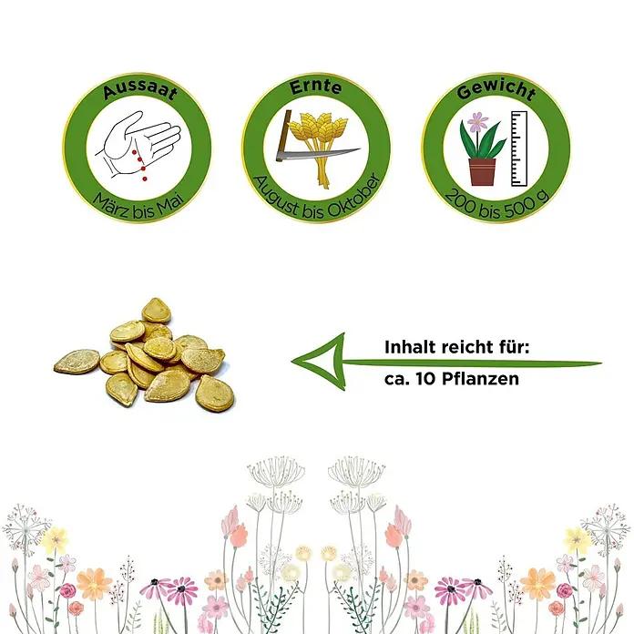 Deine Gartenwelt Kürbis Sweet Dumpling -  - Kürbiskerne mit Icons für Aussaat (März-Mai), Ernte (Aug-Okt), Fruchtgewicht (200-500g) und Inhalt für ca. 10 Pflanzen.