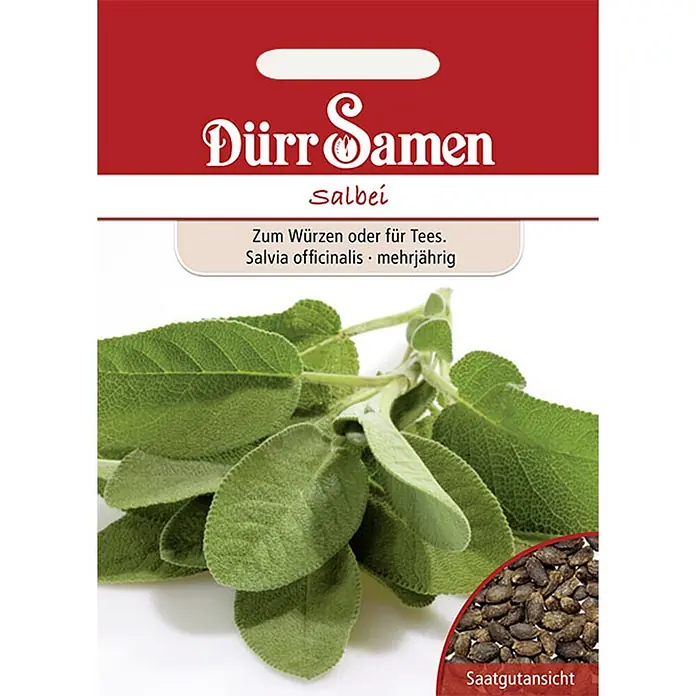 Dürr Samen Kräutersamen Salbei - Salvia officinalis, Saatzeit: Februar, Erntezeit: Juli - Saatgutpackung für Salbei (Salvia officinalis) mit grünen Blättern und Nahaufnahme der dunklen Salbeisamen. Zum Würzen oder für Tee, mehrjährig.