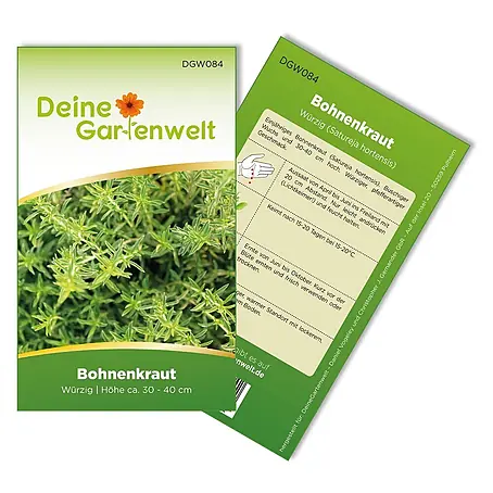Deine Gartenwelt Bohnenkraut