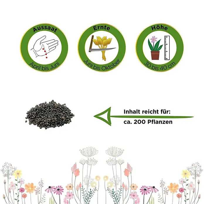 Deine Gartenwelt Bohnenkraut -  - Ein Haufen dunkler Samen mit Symbolen für Aussaat (April-Juni), Ernte (Juni-Oktober), Pflanzenhöhe (30-40cm) und Ertrag (ca. 200 Pflanzen).