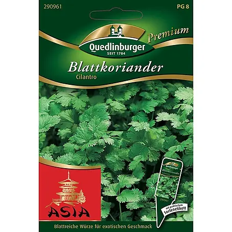 Quedlinburger SAATGUT  Kräutersamen Koriander
