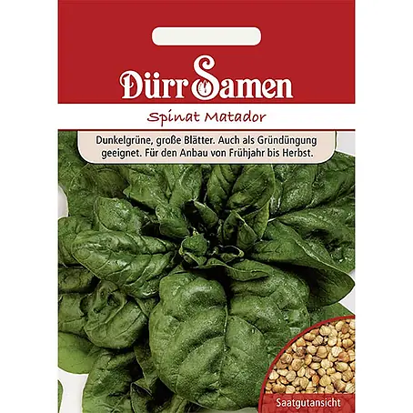 Dürr Samen  Gemüsesamen Spinat
