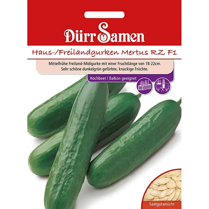 Dürr Samen Gemüsesamen Gurke - Cucumis sativus, Erntezeit: Juli - Samentüte für Dürr Samen Mertus RZ F1 Gurken, zeigt mehrere grüne Gurken und Samen.