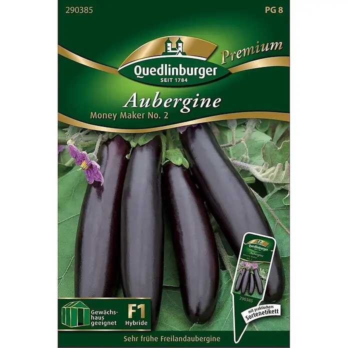 Quedlinburger SAATGUT Freiland-Auberginen Money Maker No. 2 -  - Quedlinburger 'Money Maker No. 2' Auberginen-Samenpackung mit dunkelvioletten Auberginen an einer Pflanze.