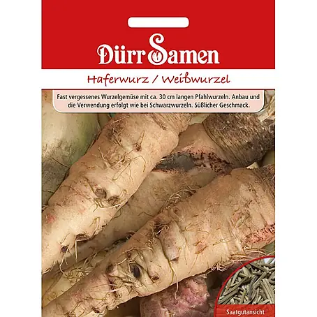 Dürr Samen  Gemüsesamen Haferwurz