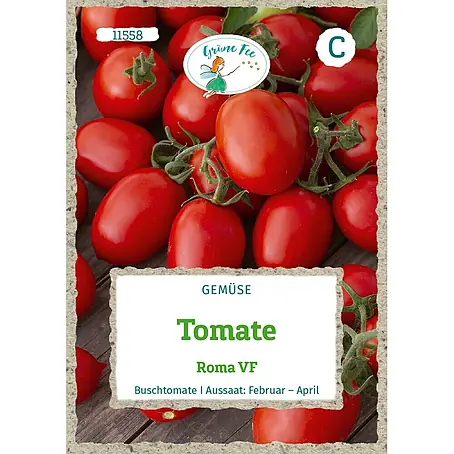 Grüne Fee Tomate Roma VF