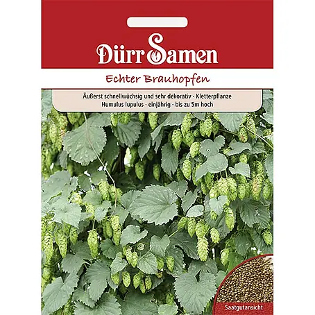 Dürr Samen  Gemüsesamen Hopfen