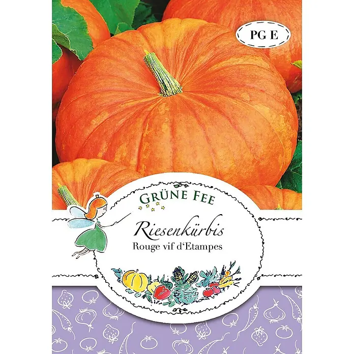 Grüne Fee Riesenkürbis Rouge vif d'Etampes -  - Samenpäckchen für 'Grüne Fee Riesen Kürbis' (Rouge vif d'Etampes) Riesenkürbisse, mit orangefarbenen Kürbissen und Feen-Illustration.