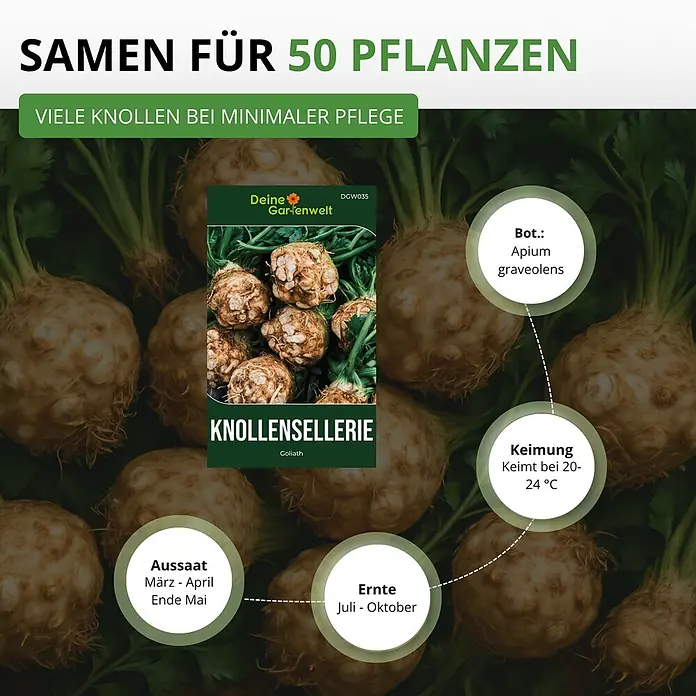Deine Gartenwelt Knollensellerie Goliath -  - Samentüte für 50 Knollensellerie-Pflanzen, bewirbt 'viele Knollen bei minimaler Pflege' mit Details zu Aussaat, Keimung und Erntezeiten.