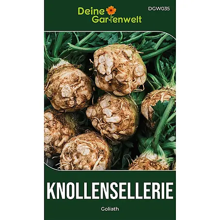 Deine Gartenwelt Knollensellerie Goliath