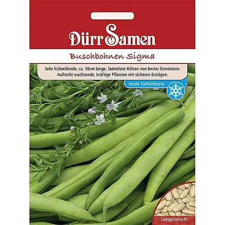 Dürr Samen  Gemüsesamen Buschbohne