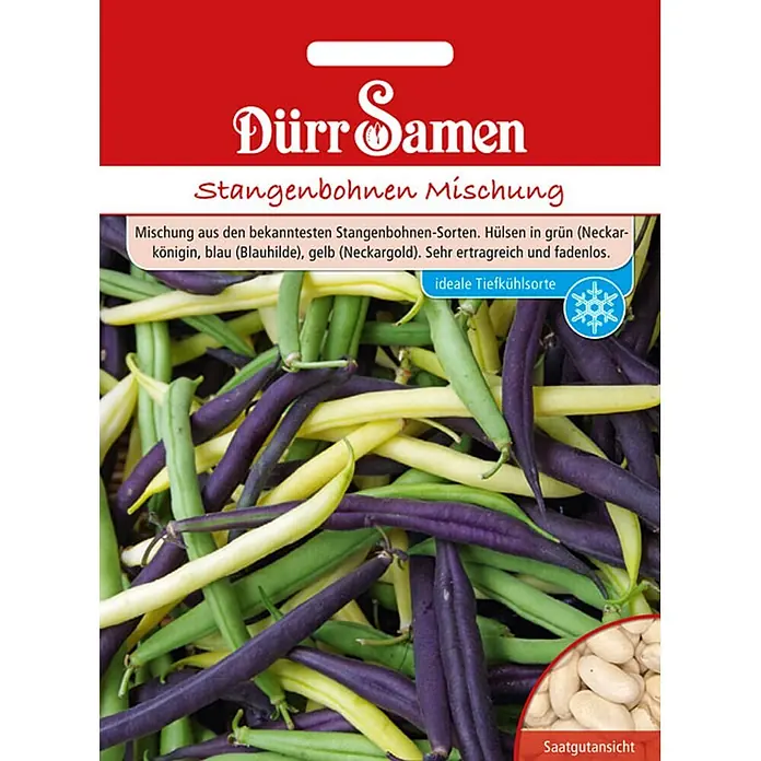 Dürr Samen Gemüsesamen Stangenbohne - Phaseolus vulgaris, Erntezeit: Juli - Samenpackung für Dürr Samen Stangenbohnen Mischung, mit grünen, gelben und violetten Bohnen und weißen Samen.