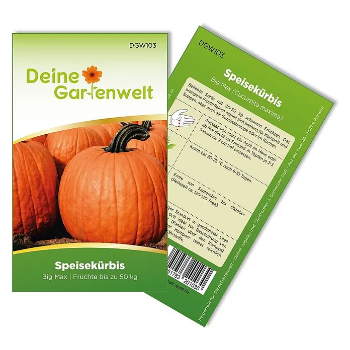 Deine Gartenwelt Gemüsesamen Speisekürbis - Cucurbita maxima, Erntezeit: September - Samenpackung für "Big Max" Speisekürbis, mit Bild von orangen Kürbissen und Produktinformationen.