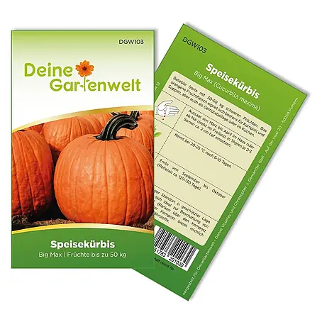 Deine Gartenwelt  Gemüsesamen Speisekürbis