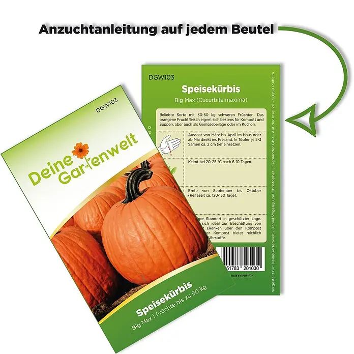 Deine Gartenwelt Gemüsesamen Speisekürbis - Cucurbita maxima, Erntezeit: September - Zwei Samentüten für 'Big Max' Kürbis. Eine zeigt ein Kürbisbild, die andere enthält detaillierte Anzuchtanleitungen.