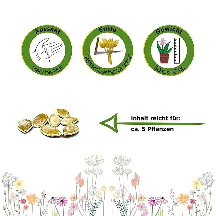 Deine Gartenwelt Gemüsesamen Speisekürbis - Cucurbita maxima, Erntezeit: September - Kürbiskerne mit Angaben zu Aussaat (März-Mai), Ernte (Sept-Okt), Pflanzengewicht (30-50 kg) und Ertrag (ca. 5 Pflanzen).