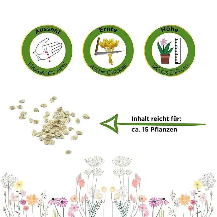 Deine Gartenwelt Gemüsesamen Fleischtomate - Solanum lycopersicum, Erntezeit: Juli - Samen mit Informationen zu Aussaat (Februar-April), Ernte (Juli-Oktober), Wuchshöhe (120-250 cm) und Ergiebigkeit (ca. 15 Pflanzen).