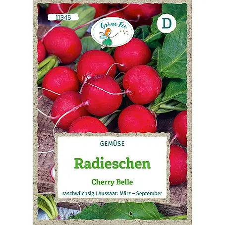 Grüne Fee Radieschen Cherry Belle