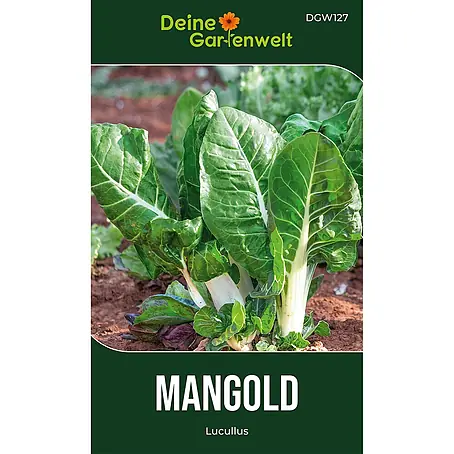Deine Gartenwelt Mangold Lucullus