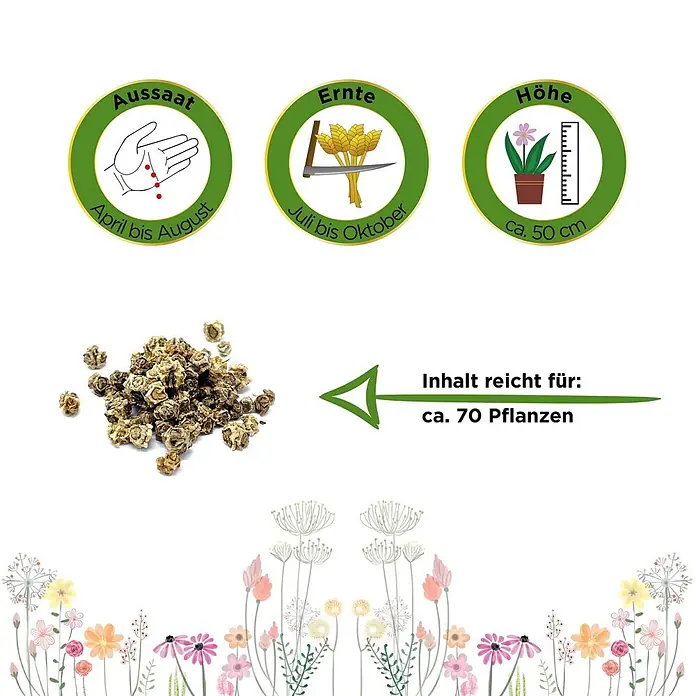 Deine Gartenwelt Mangold Lucullus -  - Rübenartige Samen mit Aussaat (April-August), Ernte (Juli-Okt), 50 cm Höhe und Ertrag für 70 Pflanzen.