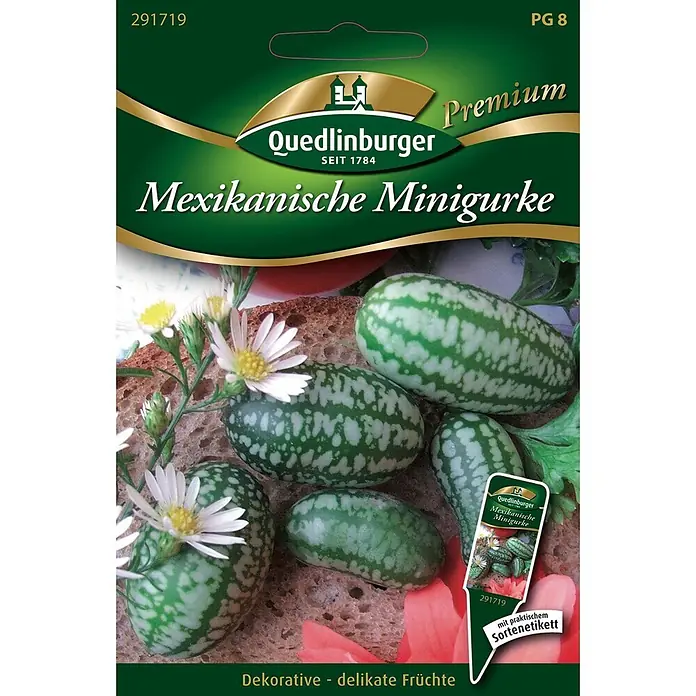 Quedlinburger SAATGUT Gemüsesamen Minigurke - Melothria scabra, Erntezeit: September - Samentüte von Quedlinburger für Mexikanische Minigurken, mit Bild der gefleckten grünen Früchte und weißen Blüten. Inklusive Sortenetikett.