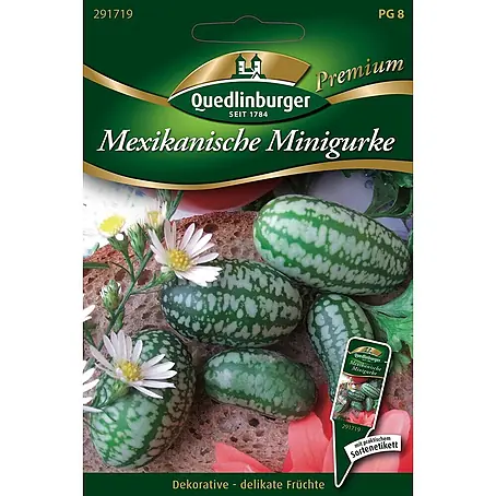 Quedlinburger SAATGUT  Gemüsesamen Minigurke