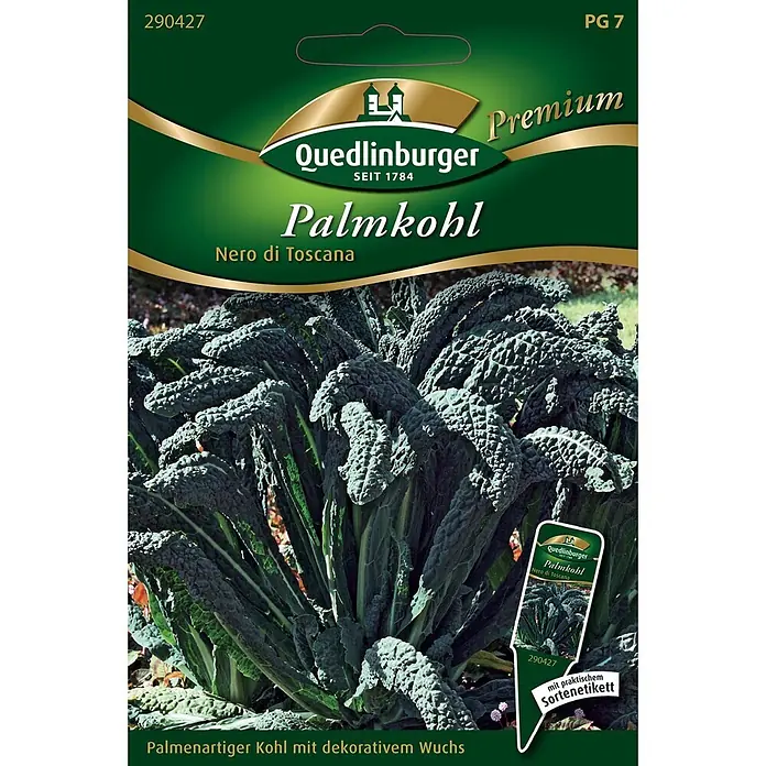 Quedlinburger SAATGUT Palmkohl Nero di Toscana -  - Quedlinburger Palmkohl 'Nero di Toscana' Samenpackung mit Bild einer großen, dunkelgrünen Grünkohlpflanze.