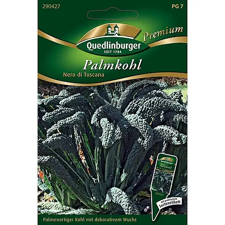 Quedlinburger SAATGUT Palmkohl Nero di Toscana
