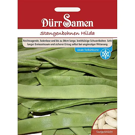 Dürr Samen Stangenbohnen Hilda