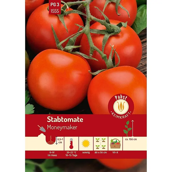 Pabst Keimkraft Gemüsesamen Stabtomate - Solanum lycopersicum L., Erntezeit: Juli - Reife rote 'Stabtomate Moneymaker' an der Pflanze mit Anbau- und Pflegehinweisen.