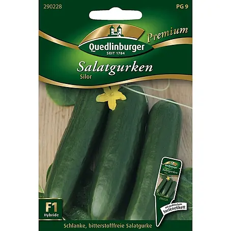 Quedlinburger SAATGUT  Gemüsesamen Salatgurke