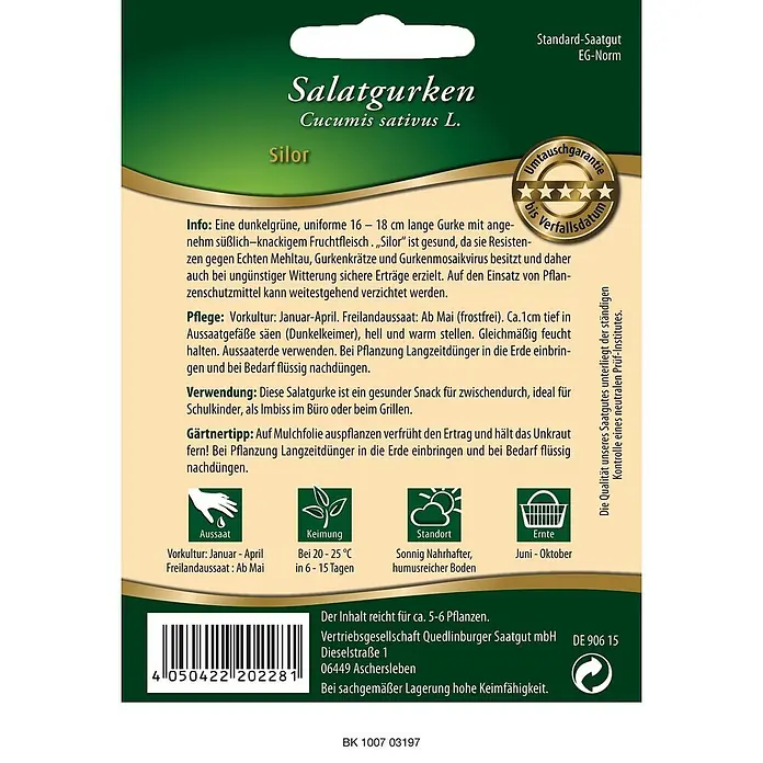 Quedlinburger SAATGUT Gemüsesamen Salatgurke - Cucumis sativus, Erntezeit: Juni - Samenpackung für Silor Salatgurken, grün mit detaillierten Pflanzinformationen und Sortenbeschreibung.