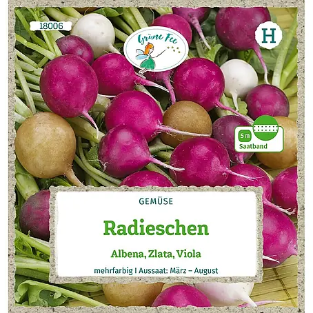 Grüne Fee  Gemüsesamen Radieschen