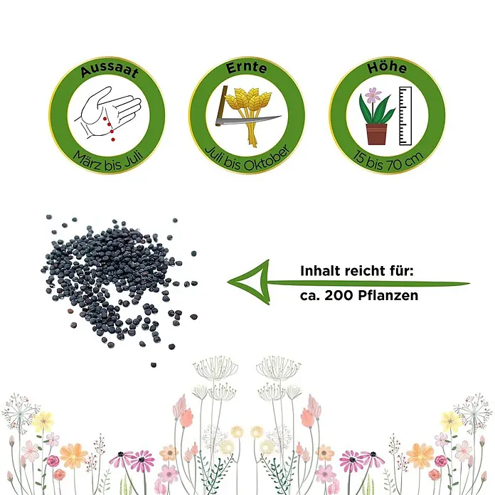 Deine Gartenwelt Gemüsesamen Erdbeerspinat - Chenopodium foliosum, Erntezeit: Juli - Dunkle Samen mit Symbolen für Aussaat (März-Juli), Ernte (Juli-Okt), Höhe (15-70cm) und Inhalt für ca. 200 Pflanzen.