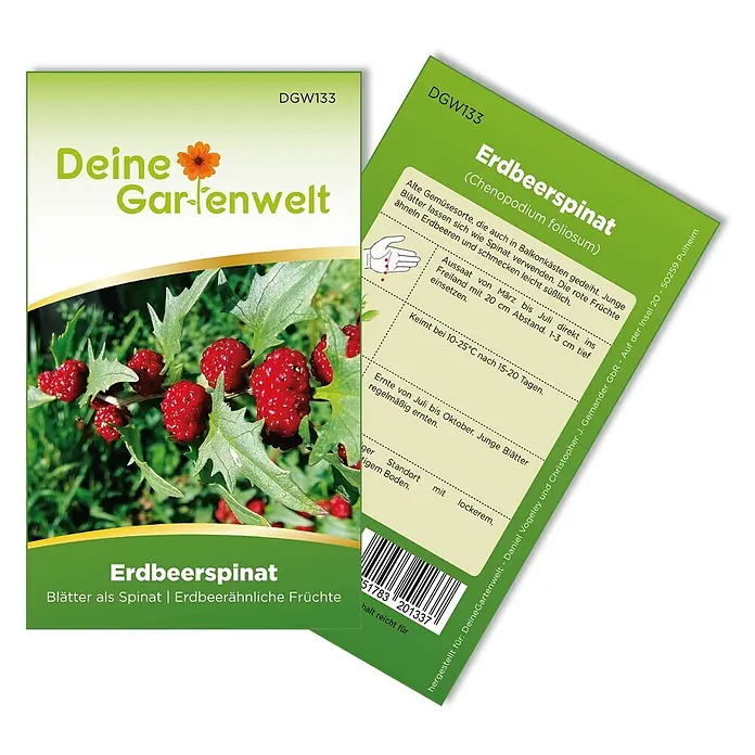 Deine Gartenwelt Gemüsesamen Erdbeerspinat - Chenopodium foliosum, Erntezeit: Juli - Samenpäckchen für Erdbeerspinat, grün-weiß mit Bild der Pflanze und roten Früchten, enthält Produktinfos und Barcode.
