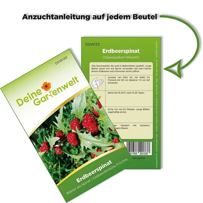 Deine Gartenwelt Gemüsesamen Erdbeerspinat - Chenopodium foliosum, Erntezeit: Juli - Samenpackungen für Erdbeerspinat mit Anzuchtanleitung und Produktinformationen.