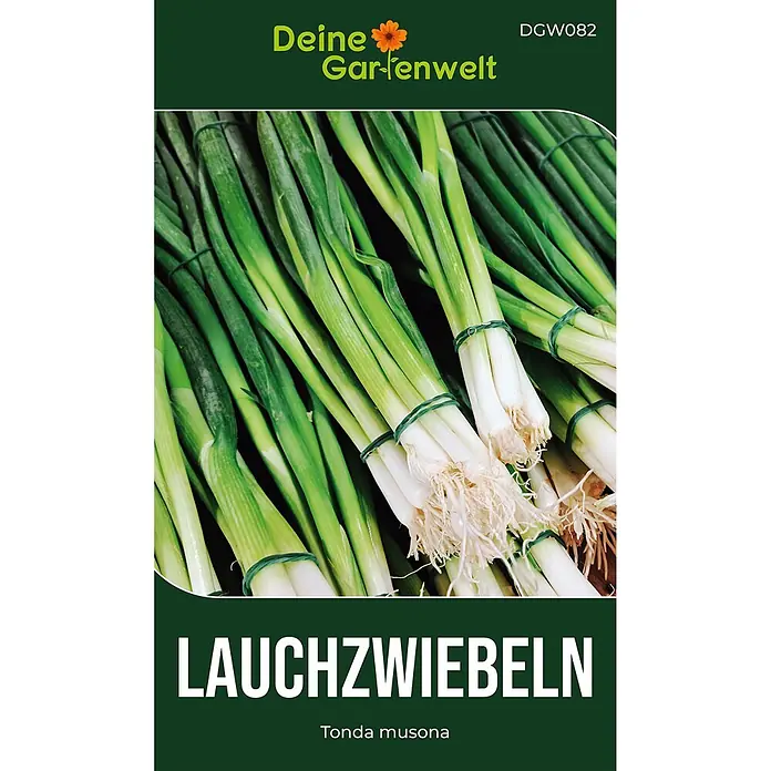 Deine Gartenwelt Lauchzwiebeln Tonda musona -  - Frische grüne und weiße Lauchzwiebeln mit Wurzeln, zu Bündeln geschnürt.