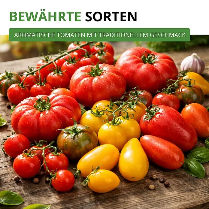 Deine Gartenwelt Tomatensamen-Set mit 10 Sorten -  - Eine lebendige Auswahl reifer, aromatischer Tomaten in roten, gelben, orangen und grün gestreiften Sorten, die traditionellen Geschmack versprechen.