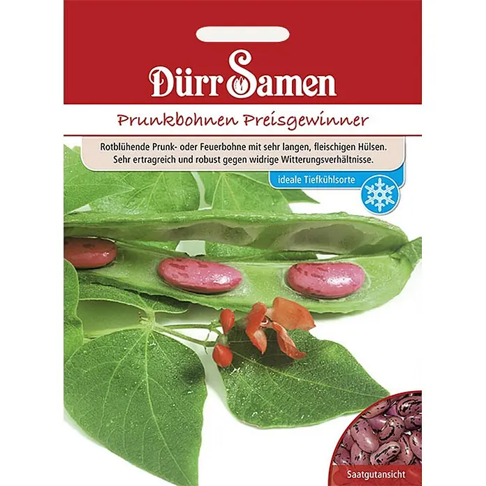 Dürr Samen Prunkbohnen Preisgewinner -  - Saatguttüte von Dürr Samen für Prunkbohnen 'Preisgewinner', zeigt eine offene Hülse mit roten Bohnen, grünen Blättern und Trockensaat.