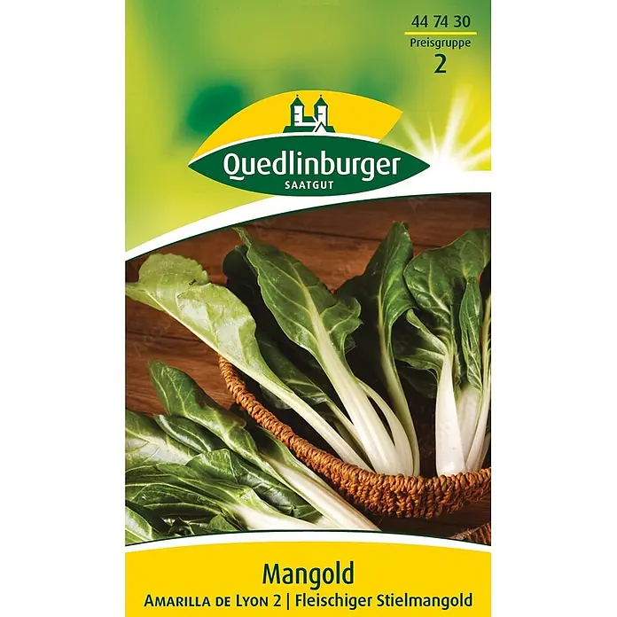 Quedlinburger SAATGUT Gemüsesamen Mangold - Beta vulgaris, Erntezeit: April - Frischer grüner Mangold (Amarilla de Lyon 2, fleischiger Stielmangold) in einem Weidenkorb.