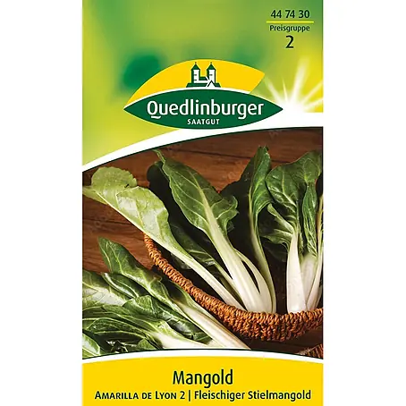 Quedlinburger SAATGUT  Gemüsesamen Mangold