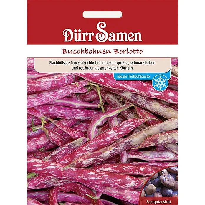 Dürr Samen Buschbohnen Borlotto - Beckenbullen - Samentüte Dürr Samen für Buschbohnen Borlotto mit rot-weiß gesprenkelten Schoten und trockenen Samen.