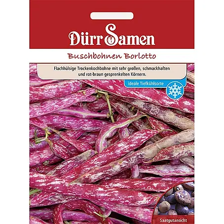 Dürr Samen Buschbohnen Borlotto (Beckenbullen)