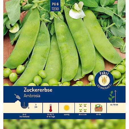 Pabst Keimkraft  Gemüsesamen Zuckererbse
