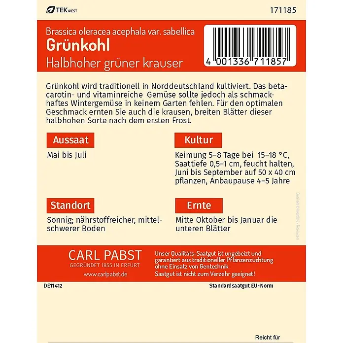 Pabst Keimkraft Gemüsesamen Grünkohl - Halbhoher grüner krauser Brassica oleracea acephala var. sabellica, Erntezeit: Oktober - Rote und weiße Samentüte für Grünkohl mit Text, Barcode und Anbauinformationen.