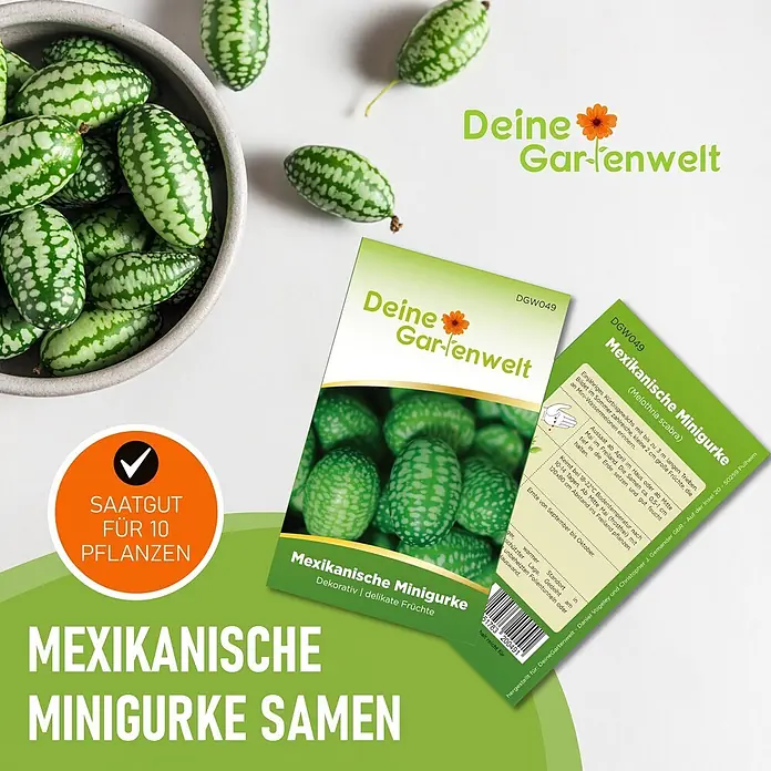 Deine Gartenwelt Mexikanische Minigurke -  - Mexikanische Minigurken-Samenpackungen mit kleinen, gestreiften Minigurken in einer Schale.