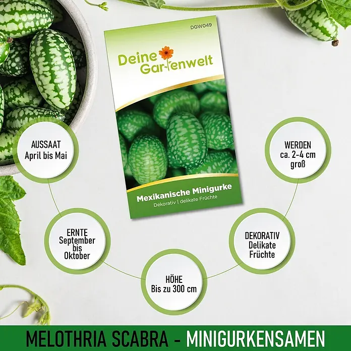 Deine Gartenwelt Mexikanische Minigurke -  - Samenpackung für Melothria Scabra (Mexikanische Minigurke) mit Infos zu Aussaat, Ernte, Fruchtgröße (2-4cm) und Wuchshöhe (bis 300cm).