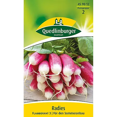 Quedlinburger SAATGUT  Gemüsesamen Radieschen