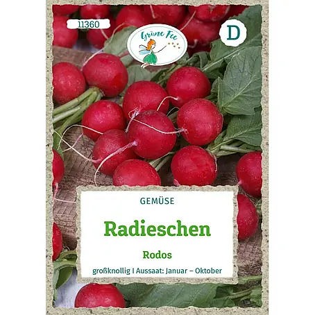 Grüne Fee  Gemüsesamen Radieschen